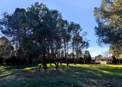 Terreno Rústico en la Poblachuela Ciudad Real. en Ciudad Real