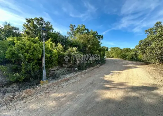 Terrenos en venta en Loranca De Tajuña - Loranca De Tajuña, 55.000 €, 4903 m2, ref. 658900