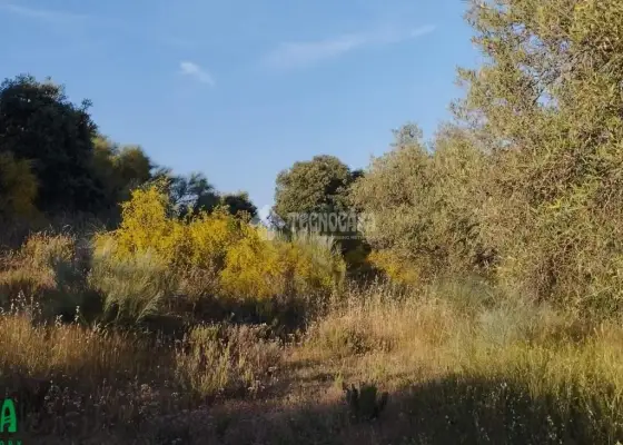 Terrenos en venta en Méntrida - Centro Ciudad, 35.000 €, 20000 m2, ref. 661613