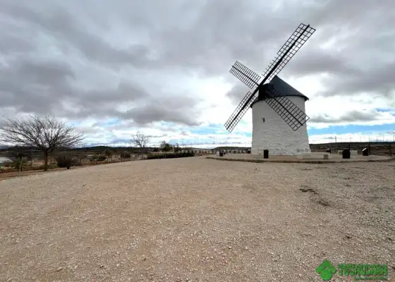 Terrenos en venta en Pozo Cañada - Pozo Cañada, 590.000 €, 9422 m2, ref. 658235