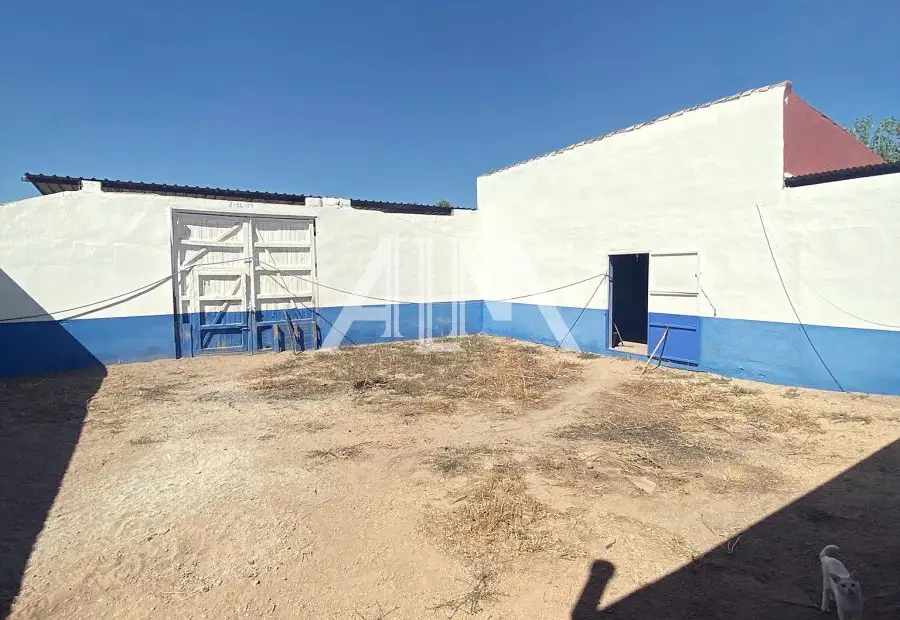 Venta Casa de Campo Periferia, Manzanares en Manzanares