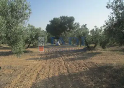 venta de casa en Valdepeñas, CAMPO en Valdepeñas