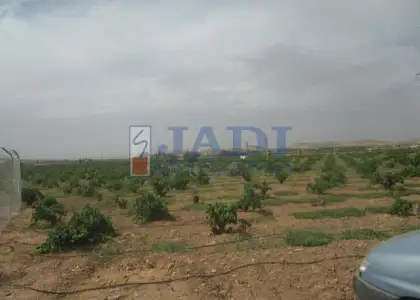 venta de casa en Valdepeñas, CAMPO en Valdepeñas