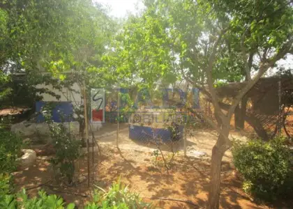 venta de casa en Valdepeñas, CAMPO en Valdepeñas