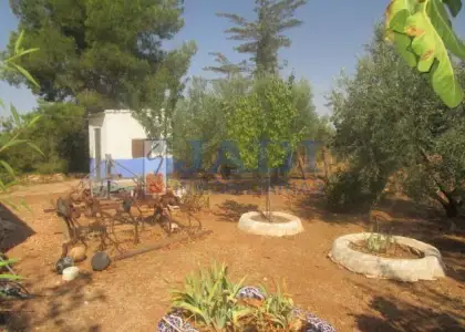 venta de casa en Valdepeñas, CAMPO en Valdepeñas