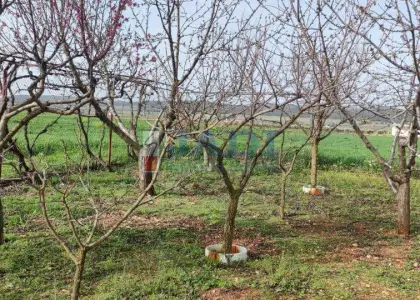 venta de casa en Valdepeñas, CAMPO en Valdepeñas