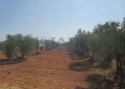 venta de casa en Valdepeñas, CAMPO en Valdepeñas