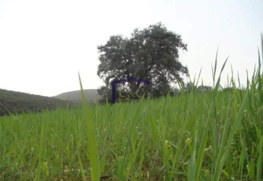 venta de finca rústica en Torrenueva, Torrenueva en Torrenueva