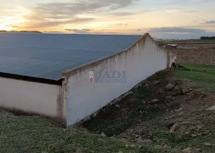 venta de finca rústica en Valdepeñas, CAMPO en Valdepeñas