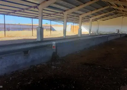 venta de finca rústica en Valdepeñas, CAMPO en Valdepeñas