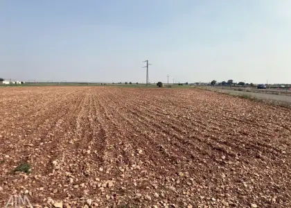 Venta Finca RÃºstica Membrilla, Membrilla en Membrilla