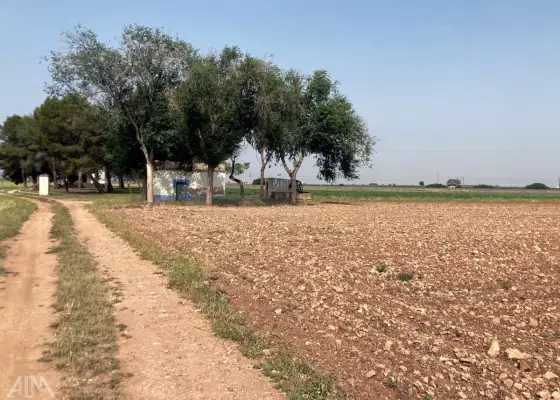 Venta Finca RÃºstica Membrilla, Membrilla
