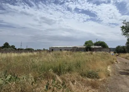 Venta Finca rústica en Argamasilla... en Argamasilla de Calatrava