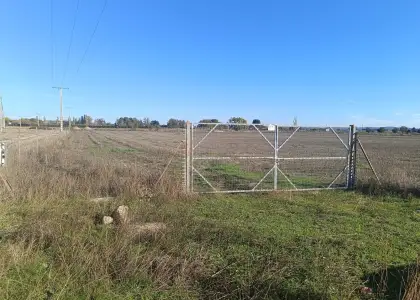 Venta Parcela en Argamasilla de... en Argamasilla de Calatrava