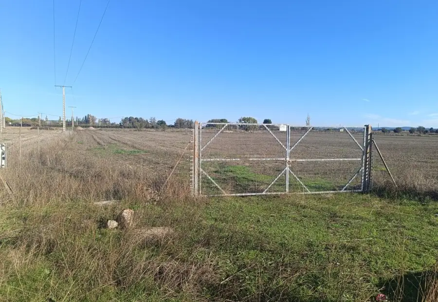 Venta Parcela en Argamasilla de... en Argamasilla de Calatrava