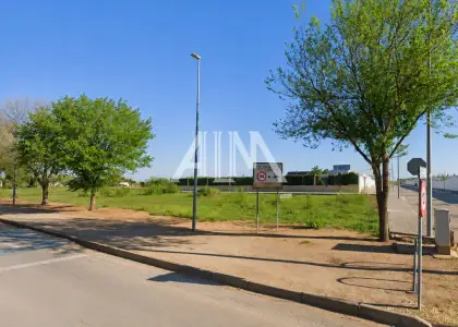 Venta Parcela Membrilla, Membrilla en Membrilla